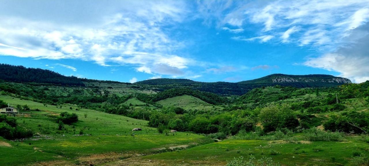 Villa Eskici Staro Myasto Экстерьер фото