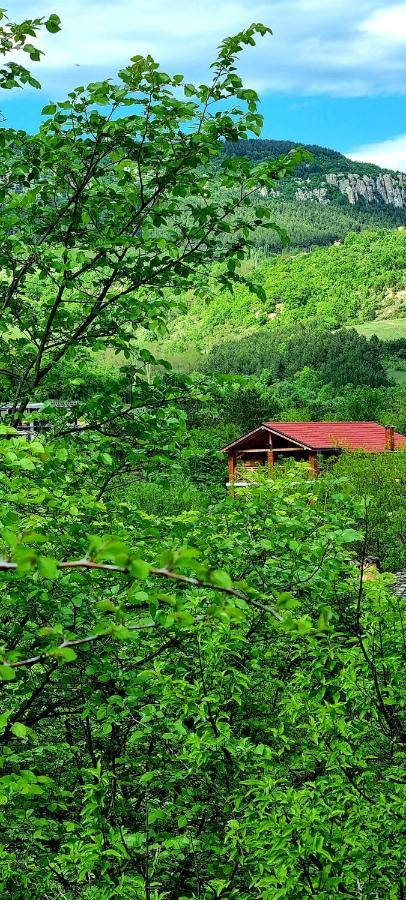 Villa Eskici Staro Myasto Экстерьер фото